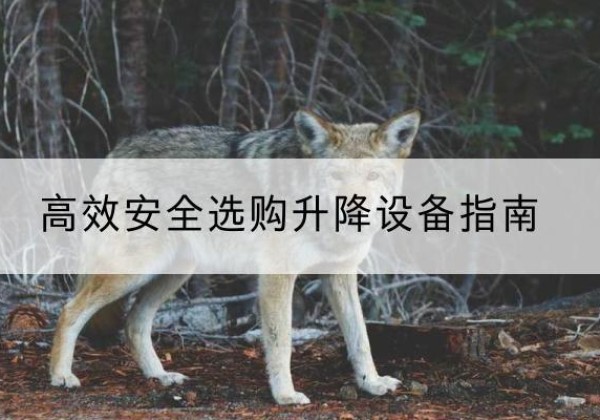 资阳升降货梯厂家推荐-*安全选购升降设备指南